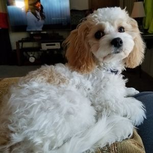 Meet your Posher, Aubrey